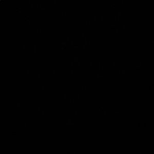 Meet your Posher, Bervensky